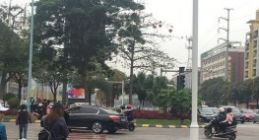 云天勵飛行人闖紅燈抓拍系統佛山試點1個月 抓拍逾4萬人次