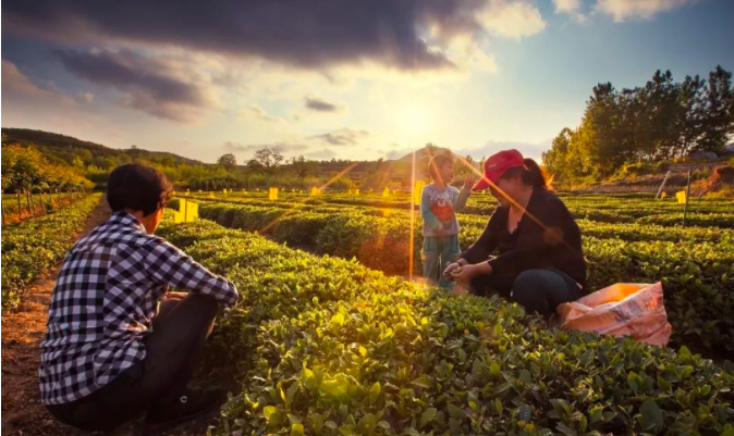 屏幕快照 2019-03-07 下午8.35.36.png