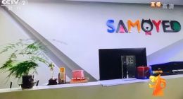 薩摩耶金服吃相太難看，超利貸暗潮涌起，凸顯底層借貸剛需難題