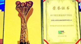 迅猛發展的合眾e貸，背后究竟有著什么樣的成功之道