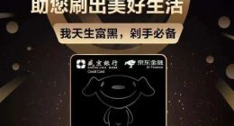 首月申請量超19萬件 京東金融信用卡數字化運營成效初顯