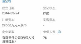 泰然金融再次更新招股書，合作資產端不良率翻一番