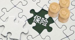 一季度大幅減虧，安心保險做對了什么？