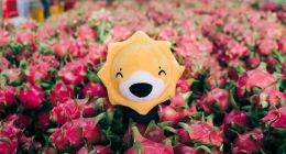 “水果自由”的背后，是蘇寧深耕全渠道供應鏈的賦能力量