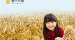 麥子金服高管CEO、COO于近期離職