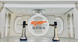 獵豹移動(dòng)2019年AI等收入增72% 機(jī)器人戰(zhàn)略迎實(shí)質(zhì)性進(jìn)展