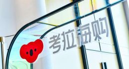 拓荒會員電商“無人區”，考拉海購能否拿下“新船票”？