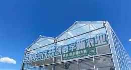 拼多多選了一條正路