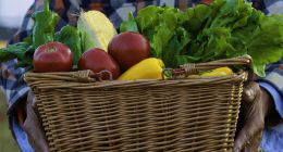 同城零售：柴米油鹽“上網”的故事，講得如何了？