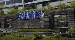 “俊鳥”立訊精密，能在汽車領域再與鳳凰齊飛嗎？