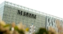 紅星美凱龍高負債之下，盯上新能源了？