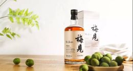 文藝青年陶石泉：微醺生意究竟是賣酒還是賣情緒價值？