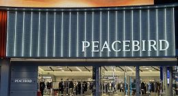 兩年從巔峰到失意，太平鳥怎么了？