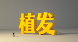 雍禾醫療：向左“邏輯王者”，向右“業績矮子”？