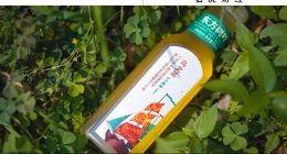 質疑東方樹葉，理解東方樹葉