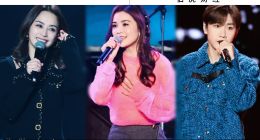 斥資3000萬辦免費演唱會，瘋狂小楊哥賺瘋了