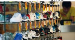 貴人鳥，一個(gè)鞋王的墜落