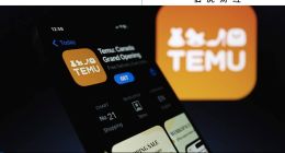 Temu重寫規則，中國制造再上全球牌桌