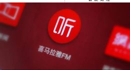 盈利2.24億元，能換來喜馬拉雅一個上市名額？