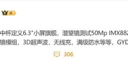 疑似vivo X300參數(shù)細(xì)節(jié)曝光：全球首款天璣9500小屏旗艦！