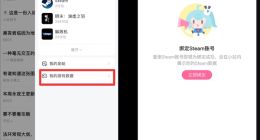 B站新功能上線：用戶可綁定Steam賬號，展示游戲數據和時長