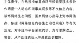 網信部門依法查處小紅書平臺破壞網絡生態案件
