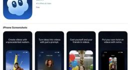 蘋果下架大量山寨OpenAI Sora應用