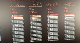 小米舉辦首屆員工車展 F1、AE86等賽車亮相