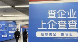 毛利率超90%，“數據茅”為何急著上市？