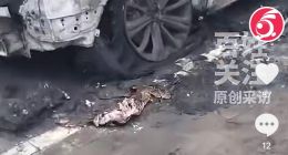 網傳長城哈弗猛龍突發自燃 幾分鐘燒成灰燼空殼